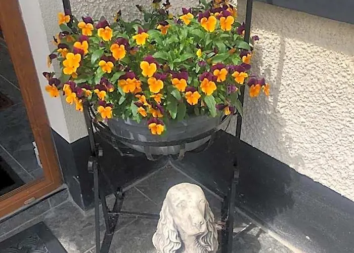 Drumcoo Guest House